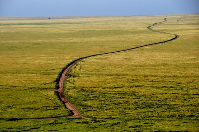 Road Through the Serengeti