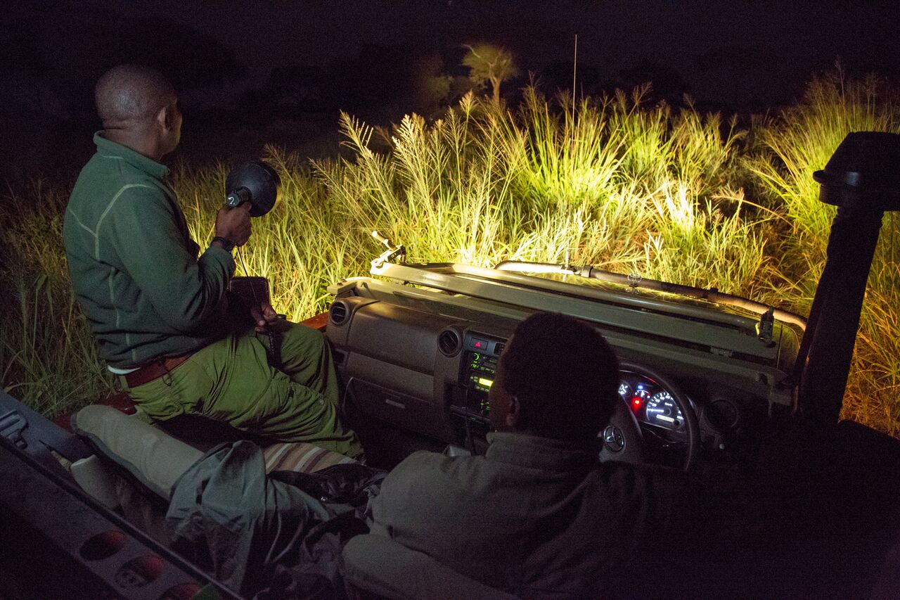 night safari tanzania