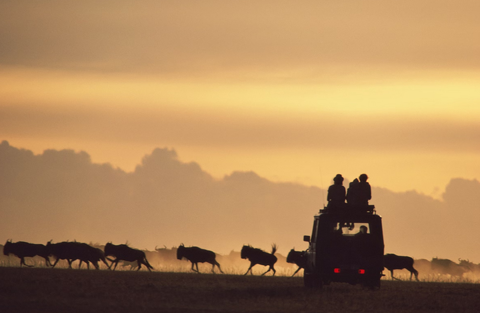 Guide to Finding Cheaper African Safaris in 2026