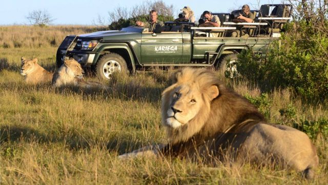 Game Viewing in South Africa