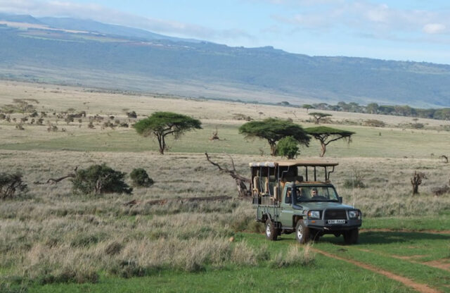 African Safari Adventure